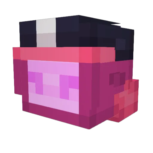 shadow_obed Minecraft avatar head, 3D render