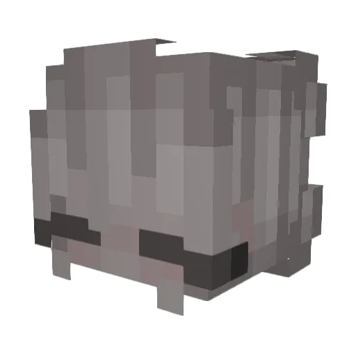 shadow_xplr Minecraft avatar head, 3D render