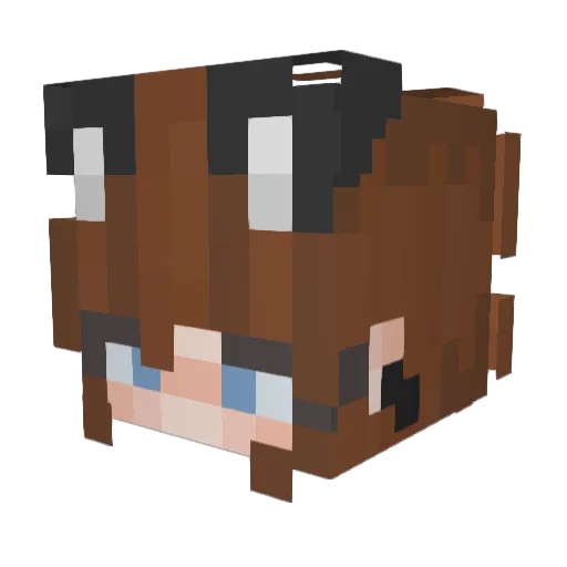 shadowaqui Minecraft avatar head, 3D render