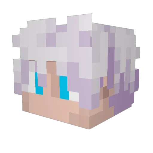shadoway1337 Minecraft avatar head, 3D render