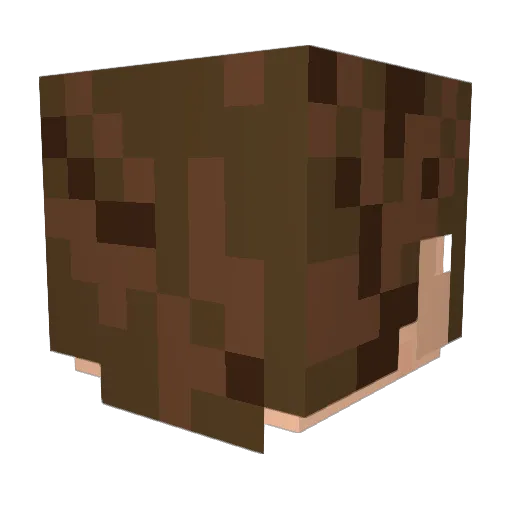 shadowboy502 Minecraft avatar head, 3D render