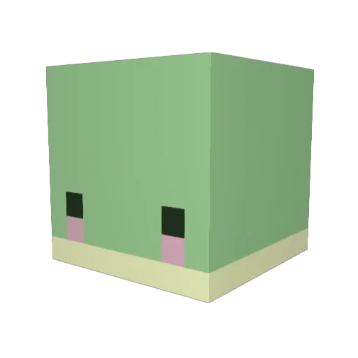 shadowbrooke Minecraft avatar head, 3D render
