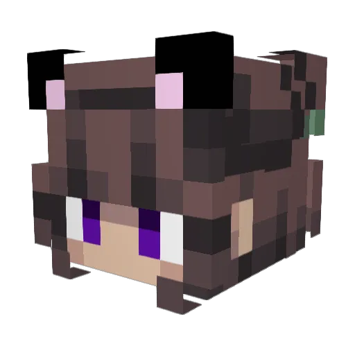 shadowcat4576 Minecraft avatar head, 3D render