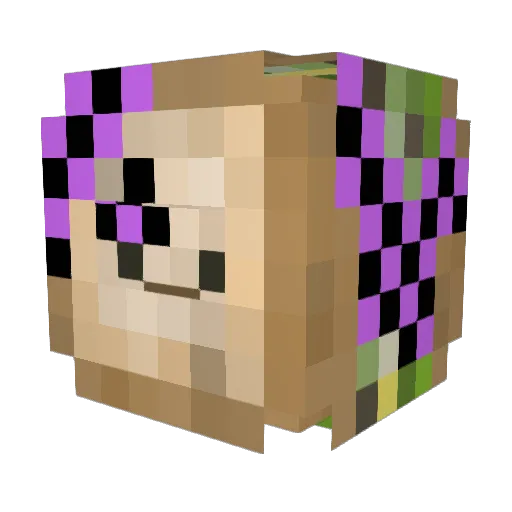 shadowcitoxd Minecraft avatar head, 3D render