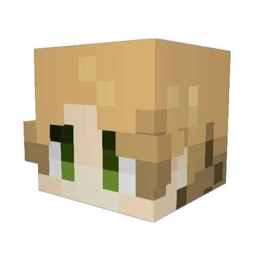 shadowdeathking Minecraft avatar head, 3D render