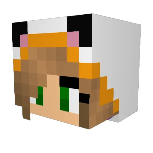 shadowdog4 Minecraft avatar head, 3D render