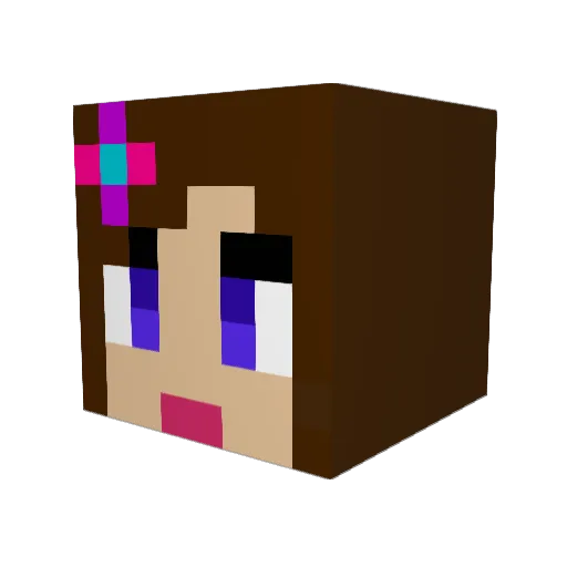shadowfire2756 Minecraft avatar head, 3D render