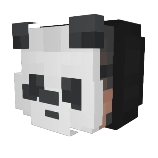 shadowfloat Minecraft avatar head, 3D render