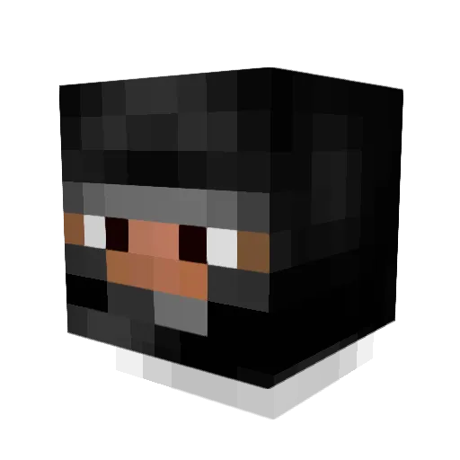 shadowfox1562 Minecraft avatar head, 3D render