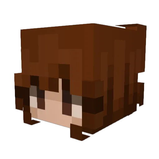 shadowfox385 Minecraft avatar head, 3D render