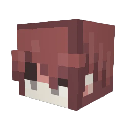 shadowgamer2333 Minecraft avatar head, 3D render