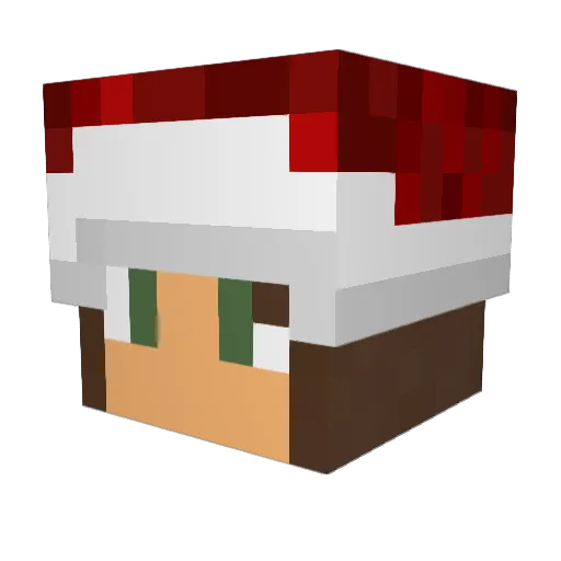 shadowghost2002 Minecraft avatar head, 3D render