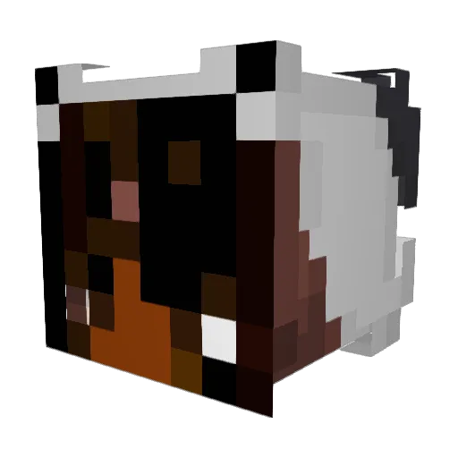 shadowgod989 Minecraft avatar head, 3D render