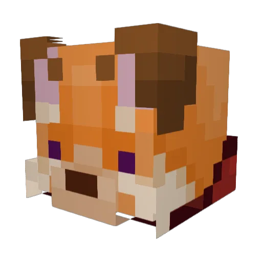 shadowhb11 Minecraft avatar head, 3D render