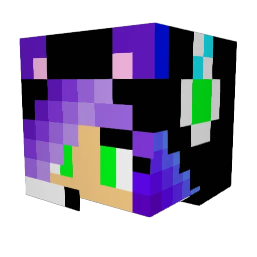 shadowhunter006 Minecraft avatar head, 3D render