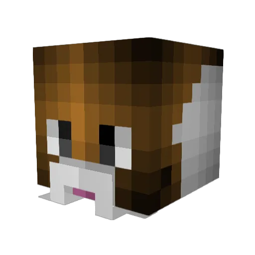 shadowlasher Minecraft avatar head, 3D render
