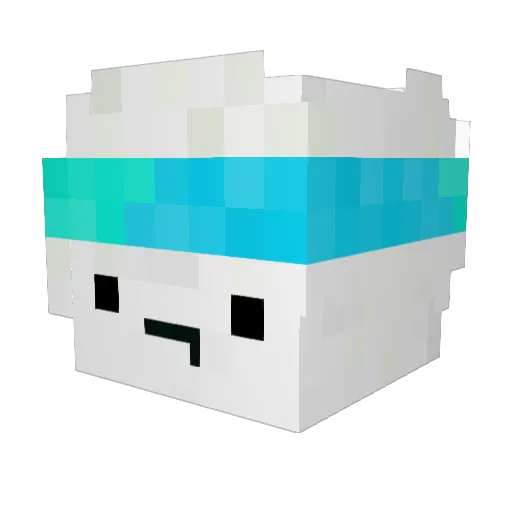 shadowline Minecraft avatar head, 3D render