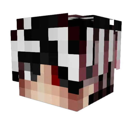 shadowlolbite Minecraft avatar head, 3D render