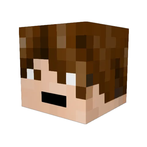 shadowminerA15 Minecraft avatar head, 3D render