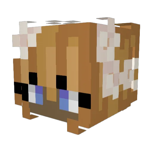 shadownight7532 Minecraft avatar head, 3D render