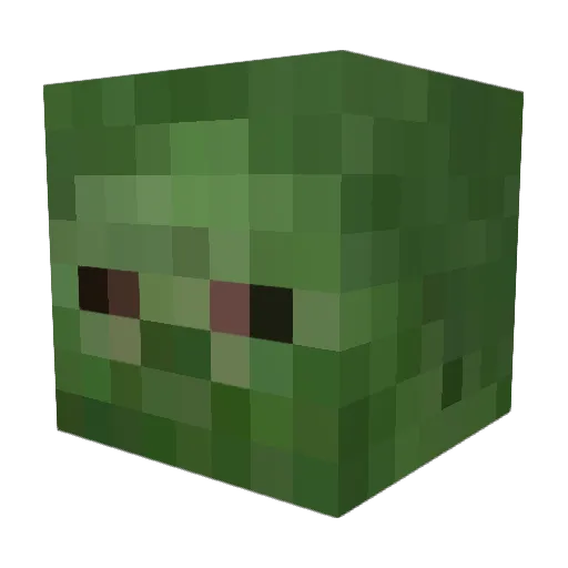 shadowninja7065 Minecraft avatar head, 3D render