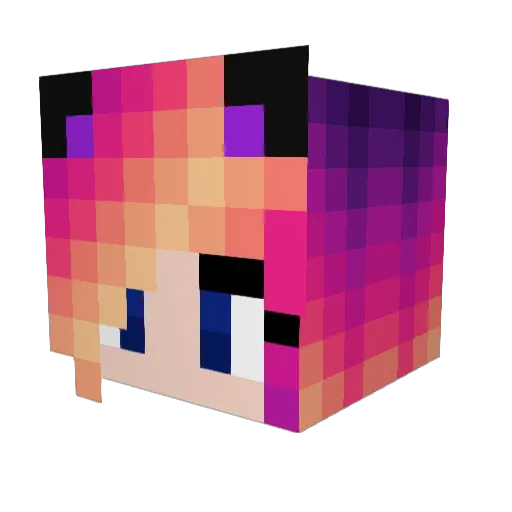 shadowpaws0 Minecraft avatar head, 3D render
