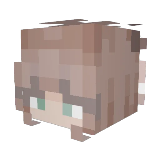 shadowpiggy Minecraft avatar head, 3D render