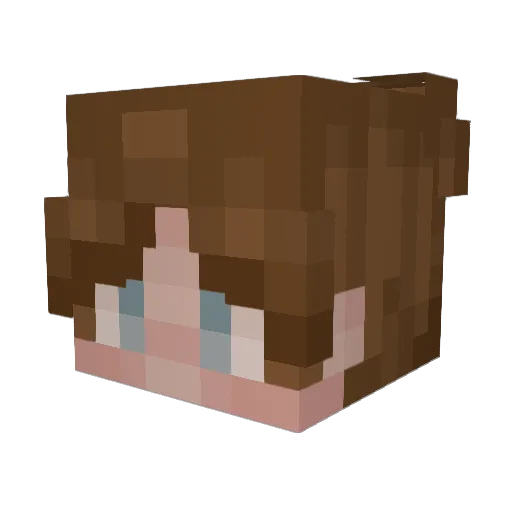 shadowrae Minecraft avatar head, 3D render