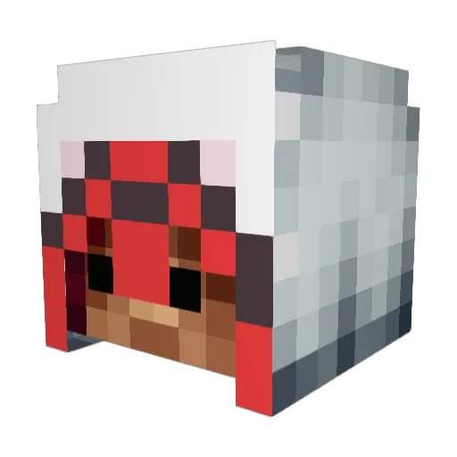 shadowraider43 Minecraft avatar head, 3D render