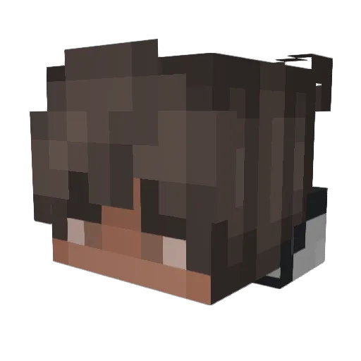 shadowstar45 Minecraft avatar head, 3D render