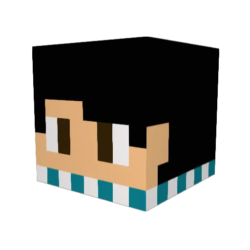 shadowstarisking Minecraft avatar head, 3D render