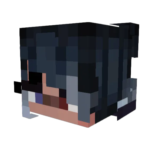 shadowstorm1810 Minecraft avatar head, 3D render