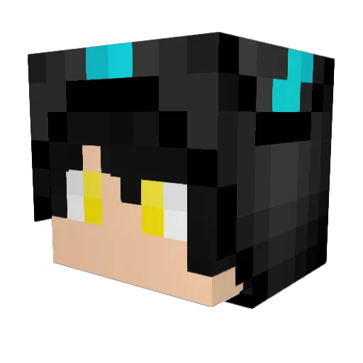 shadowwolf1017 Minecraft avatar head, 3D render