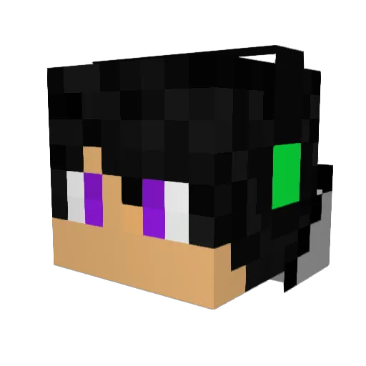 shadowz1x Minecraft avatar head, 3D render