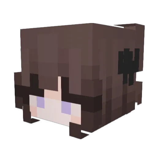 shadxwed Minecraft avatar head, 3D render