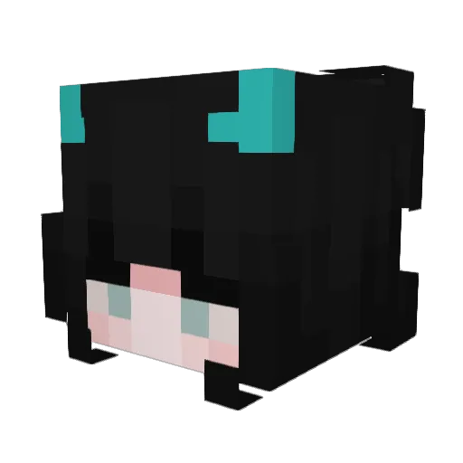 shadxwlol Minecraft avatar head, 3D render