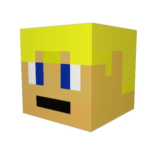 shady1109 Minecraft avatar head, 3D render