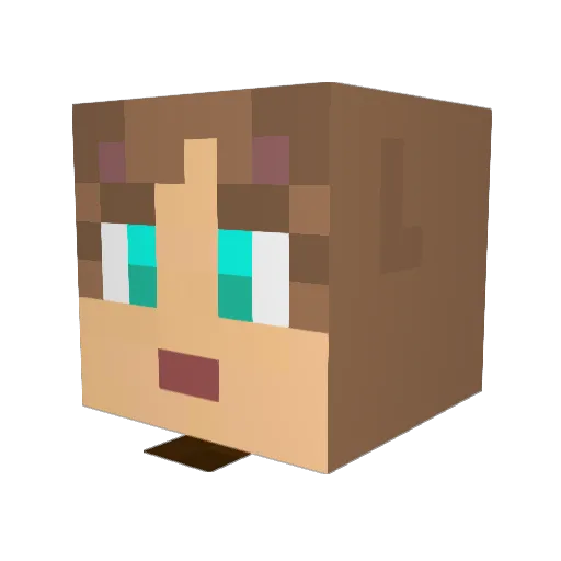 shadybots Minecraft avatar head, 3D render