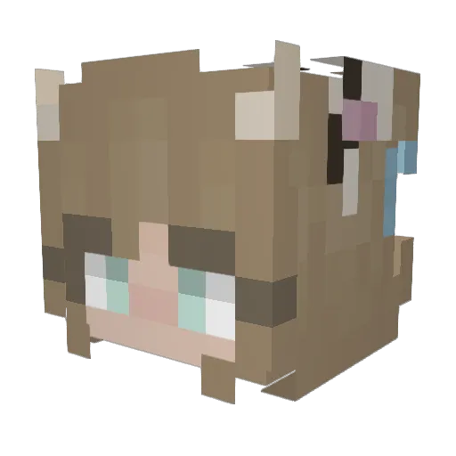 shadycal Minecraft avatar head, 3D render