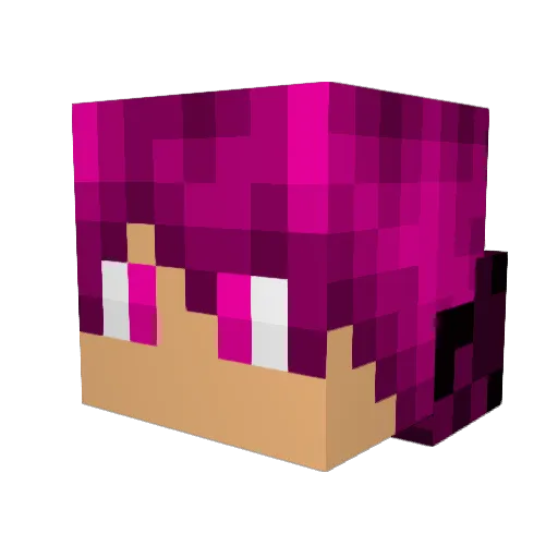 shadycraft68 Minecraft avatar head, 3D render