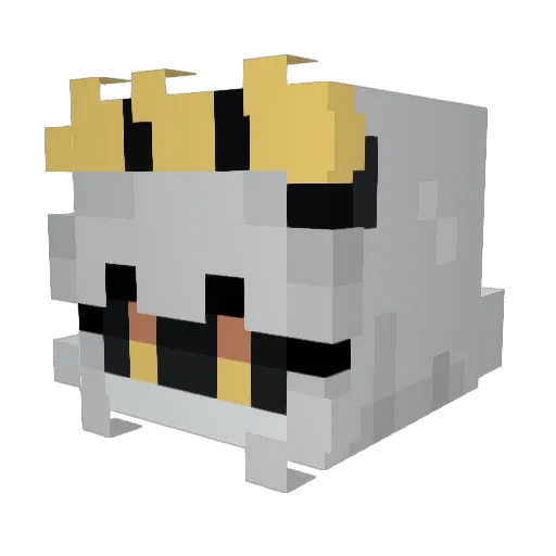 shadyltrain Minecraft avatar head, 3D render