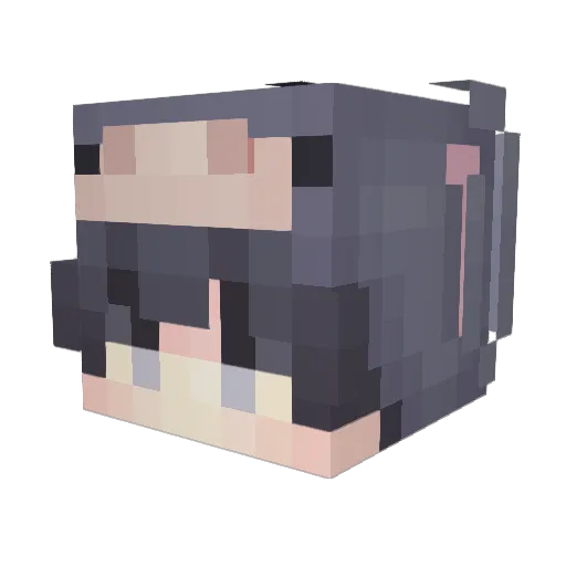 shadypalms Minecraft avatar head, 3D render