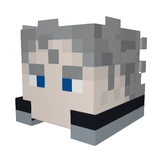 shadysodium Minecraft avatar head, 3D render