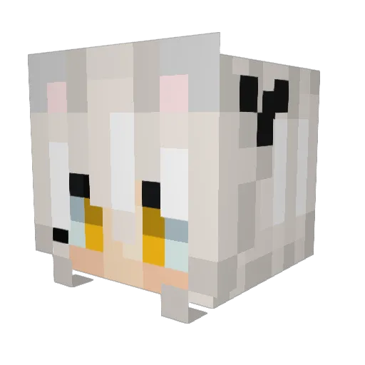shadyymc Minecraft avatar head, 3D render