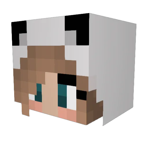 shaebreann Minecraft avatar head, 3D render