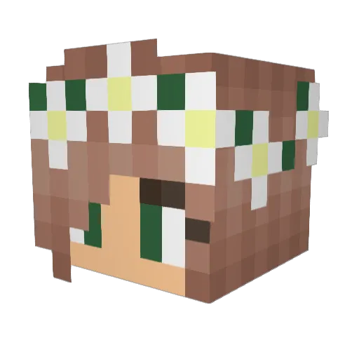 shaewalk Minecraft avatar head, 3D render