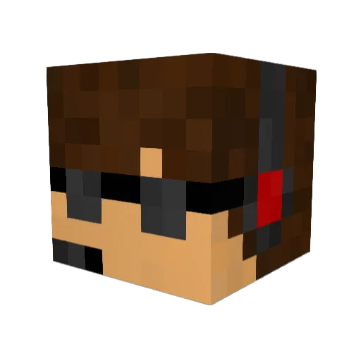 shafer567 Minecraft avatar head, 3D render
