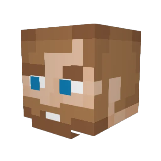 shah2901 Minecraft avatar head, 3D render