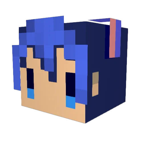 shai841 Minecraft avatar head, 3D render