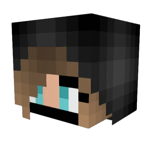 shainashoe88 Minecraft avatar head, 3D render